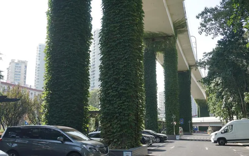 合肥绿化工程种植基地在哪里