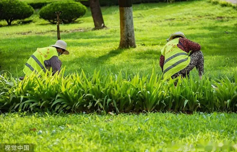 潜江开展2025年义务植树活动