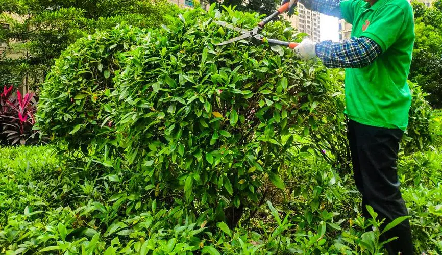 修整绿化工程合同范本